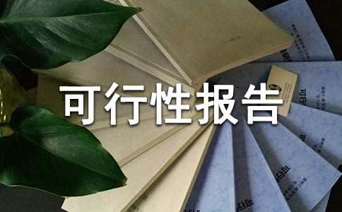 編寫可行性報告