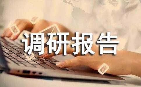 無形資產評估的調研報告