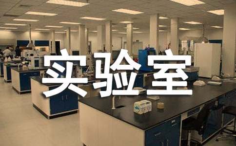 實驗室工作匯報