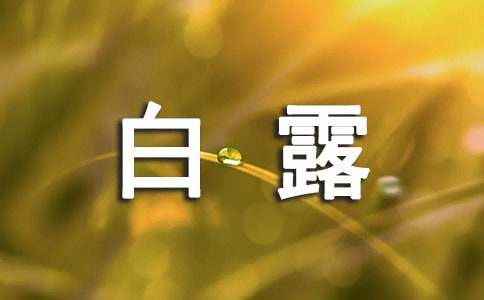 白露節氣創意寄語