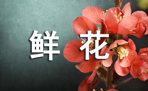 對去世親人的鮮花簡短寄語160句