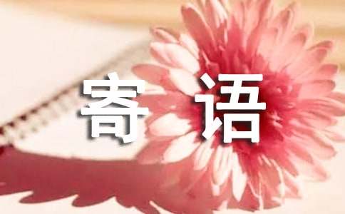 花束卡片寄語