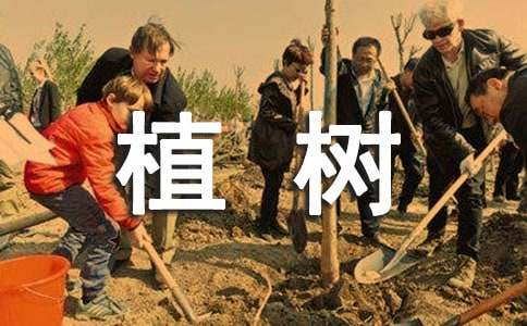 全民義務(wù)植樹倡議書