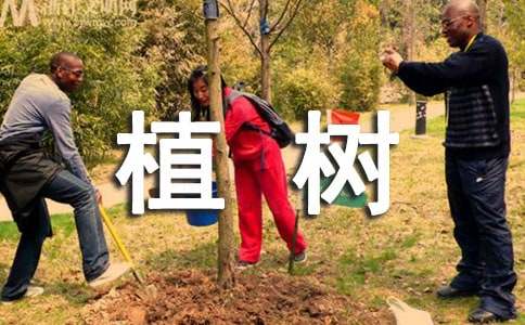 全民義務植樹倡議書