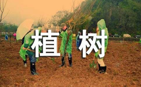 全民義務植樹倡議書14篇