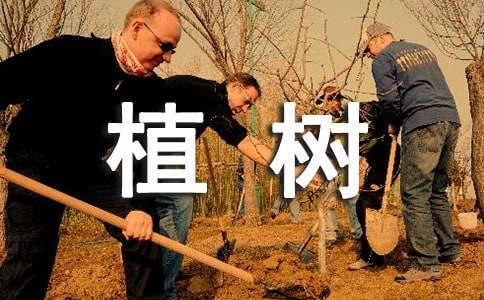全民義務植樹倡議書(精選14篇)