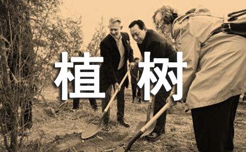 關(guān)于義務(wù)植樹倡議書