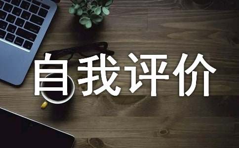 2017年黨員自我評價
