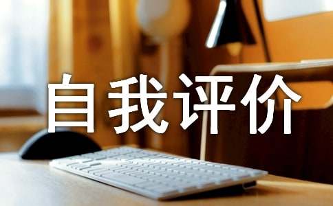 工作中個人自我評價