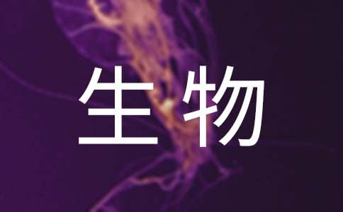 關(guān)于生物技術(shù)專業(yè)求職信范文錦集