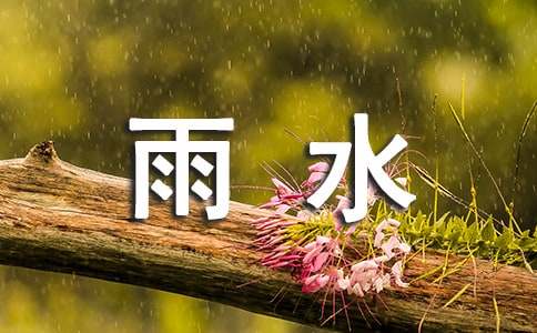 描寫雨水小學作文