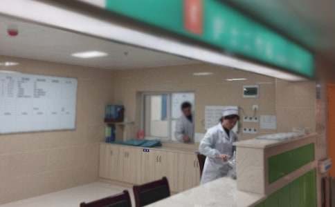 2023寵物醫院的實習報告