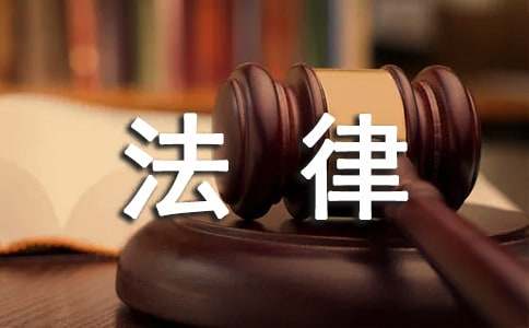 努力增強審計報告的法律內涵的審計報告