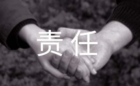2016年經濟責任審計報告寫作方法