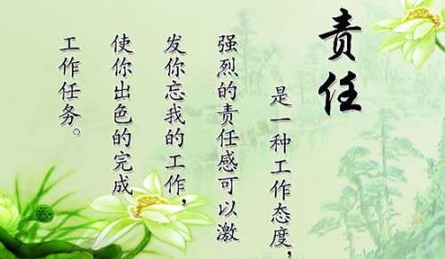 履行主體責任述職報告
