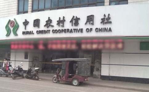 農(nóng)村信用社主任述職報告