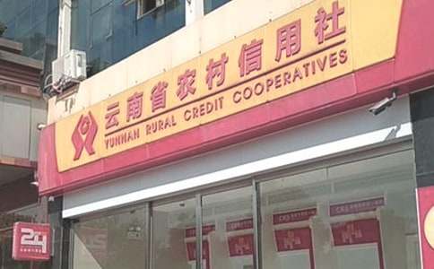 農(nóng)村信用社柜員述職報(bào)告最新