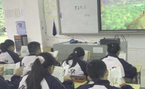 學生上課睡覺違紀檢討書