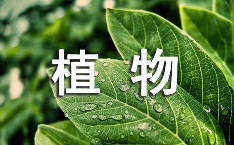 有關植物精選歇后語