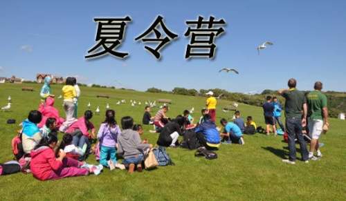 保研夏令營推薦信