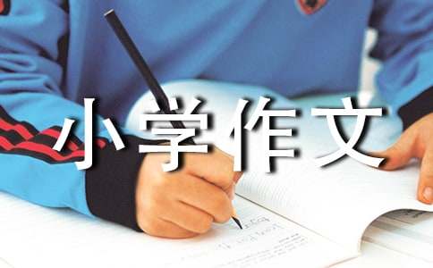 【精選】小學作文500字匯總7篇