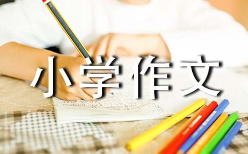 愛護環境小學作文6篇