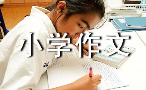 【實用】小學作文800字（精選62篇）
