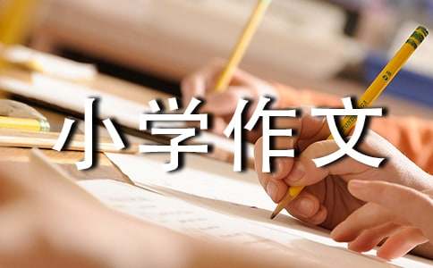 【精品】小學作文700字合集八篇