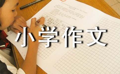 【精華】小學(xué)作文500字合集10篇