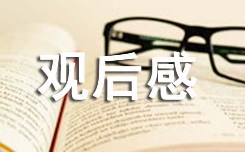 誤殺3觀后感（精選8篇）