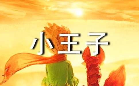 電影小王子觀后感