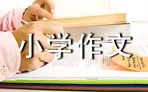 【熱門】小學(xué)作文400字合集七篇