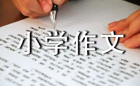 陶藝小學作文五篇