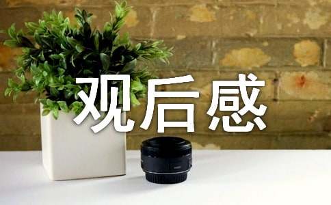 《小孩不笨3》觀后感