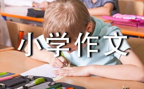 【實用】小學作文600字匯編8篇