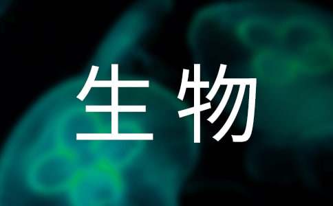 高中生物教學個人總結